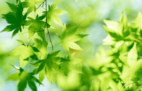 轻松掌握bwin投注技巧，让你在2025年赢得更多机会