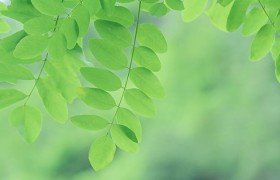 解锁最新趋势，轻松玩转乐彩论坛的精彩资讯与互动技巧