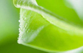 万博体育：你不知道的那些小秘密，能让你爱上这项运动！