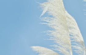 开云体育官网入口，让你在2025年畅享全新体验，究竟有什么惊喜？