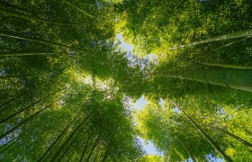 在香港开奖现场结果直播中，你绝对不能忽视这些秘密！