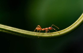 陈宝莲艳三级电影全集，6个你不知道的禁忌与谜团揭秘！