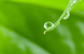 陈宝莲艳三级电影全集究竟隐藏了什么，你绝对想不到的秘密！